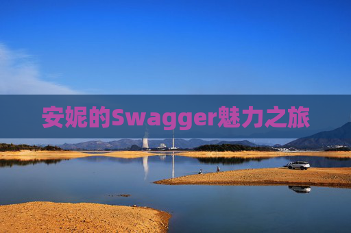 安妮的Swagger魅力之旅
